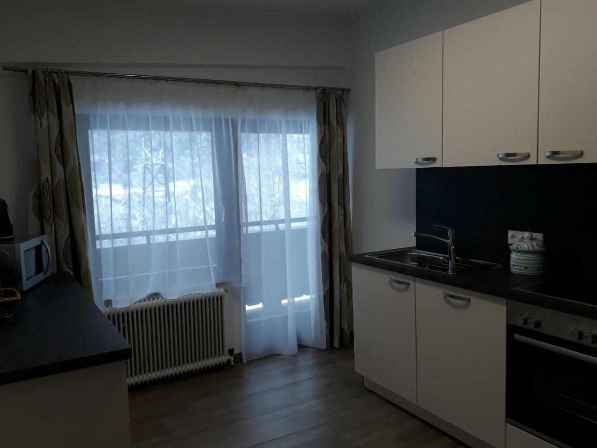 Appartement Wildkogelblick Нойкірхен-ам-Гросфенедігер Екстер'єр фото